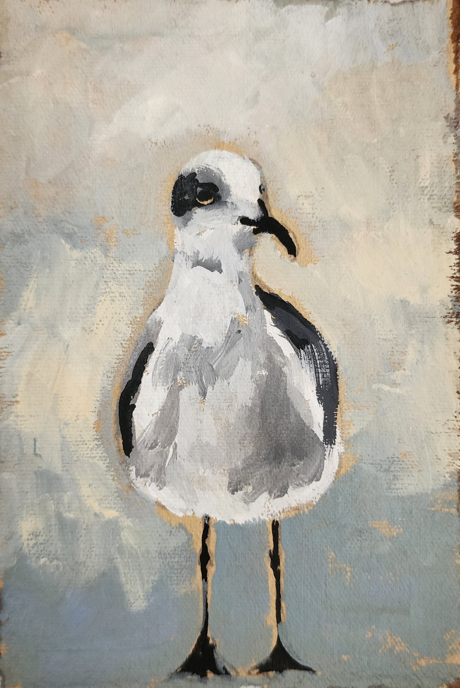 Little Sam the Seagull