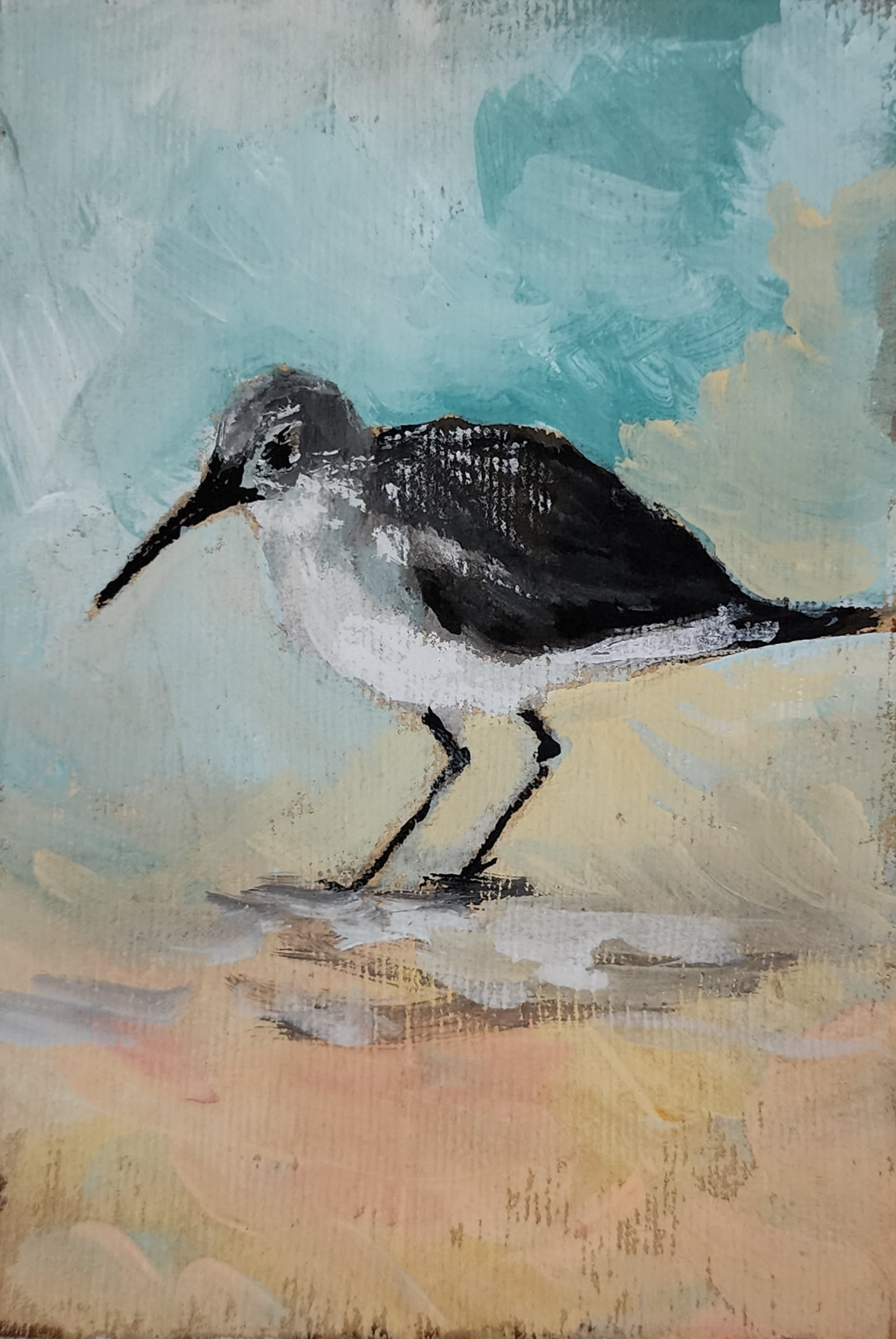 Penny Sandpiper