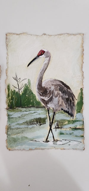 SUE Sand Hill Crane