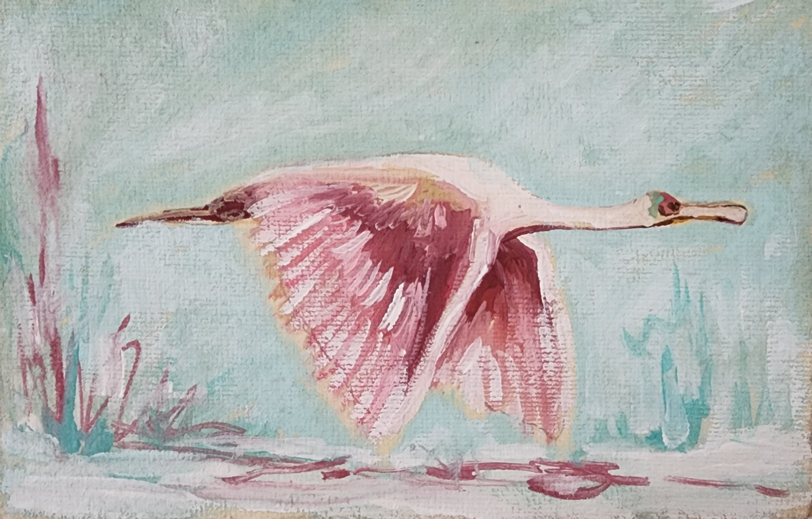 Megan Spoonbill