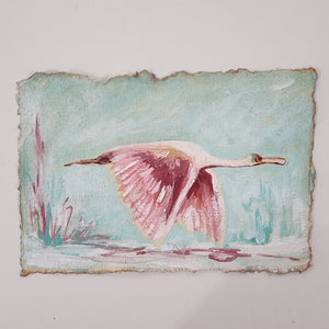 Megan Spoonbill