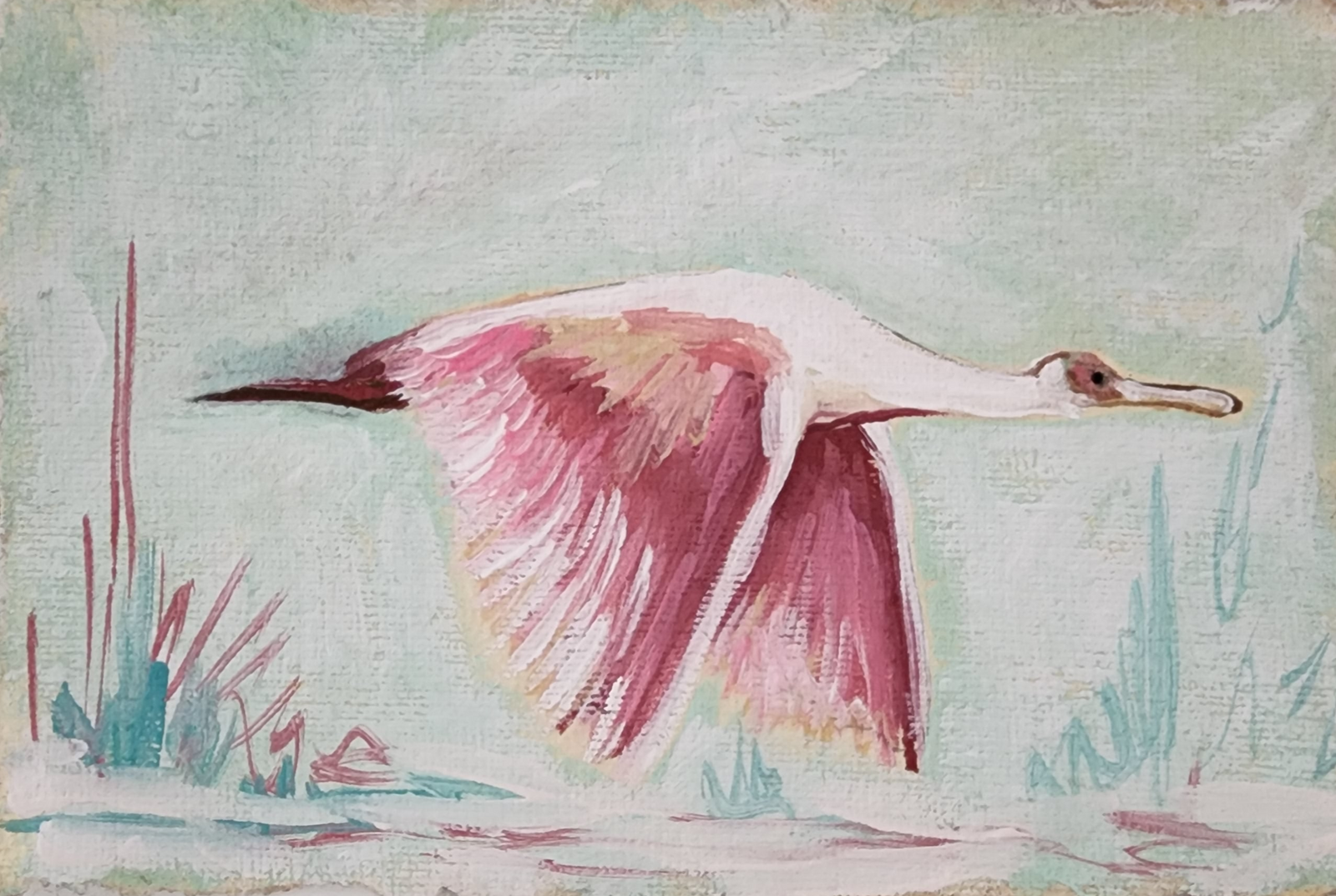 Rita Spoonbill