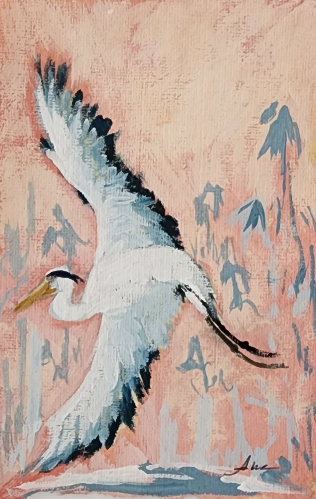 Summer heron