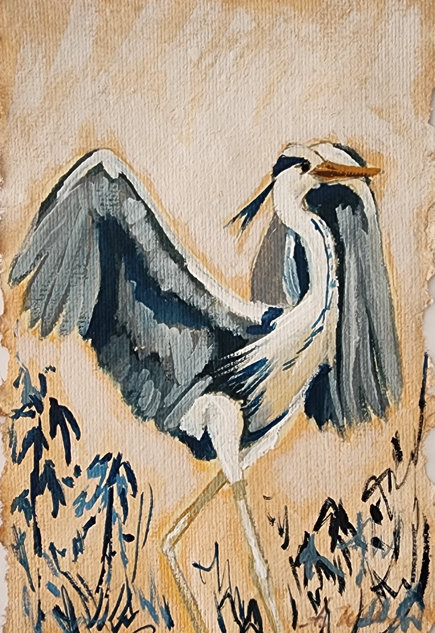 Edna heron