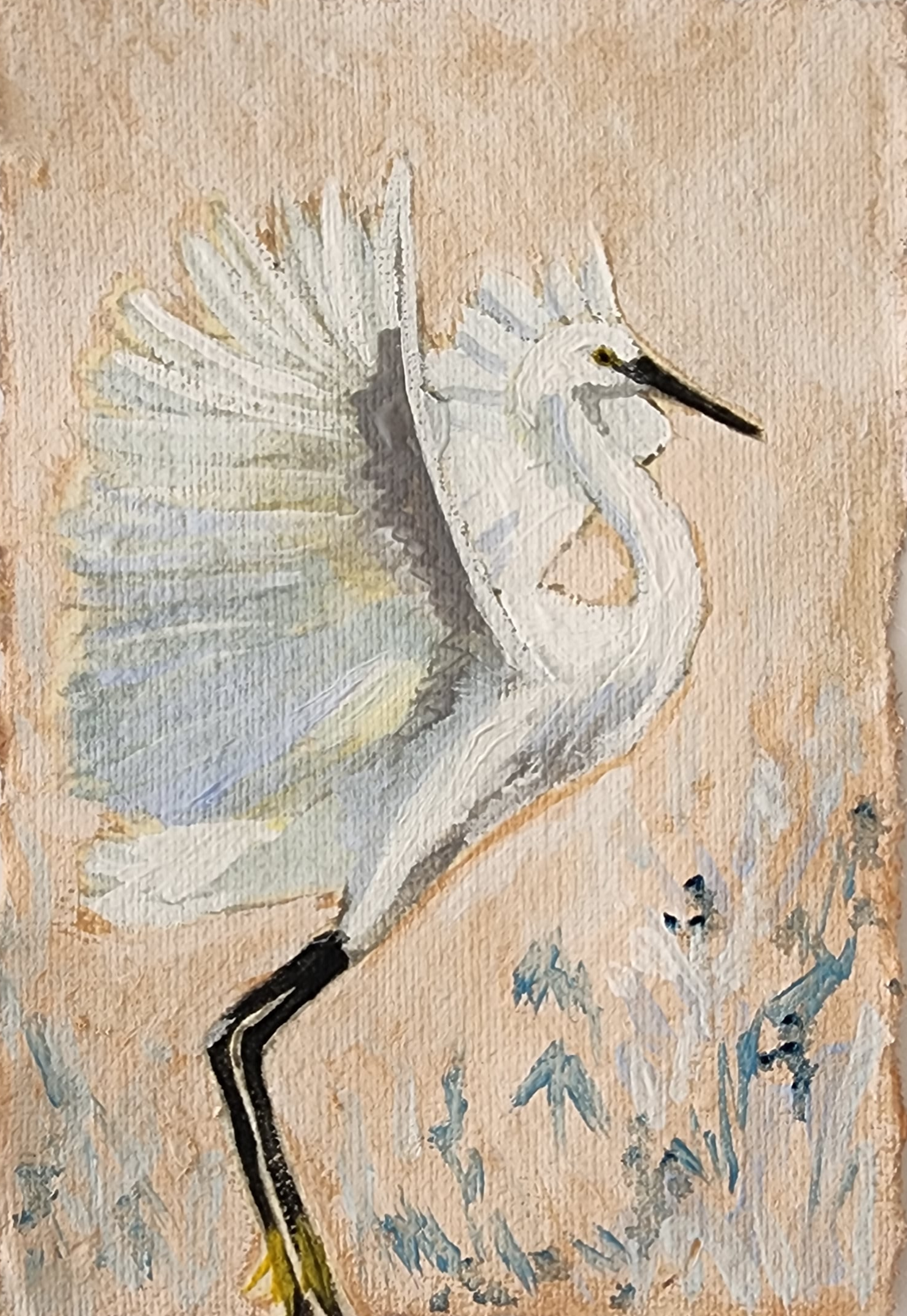 Agnes Egret
