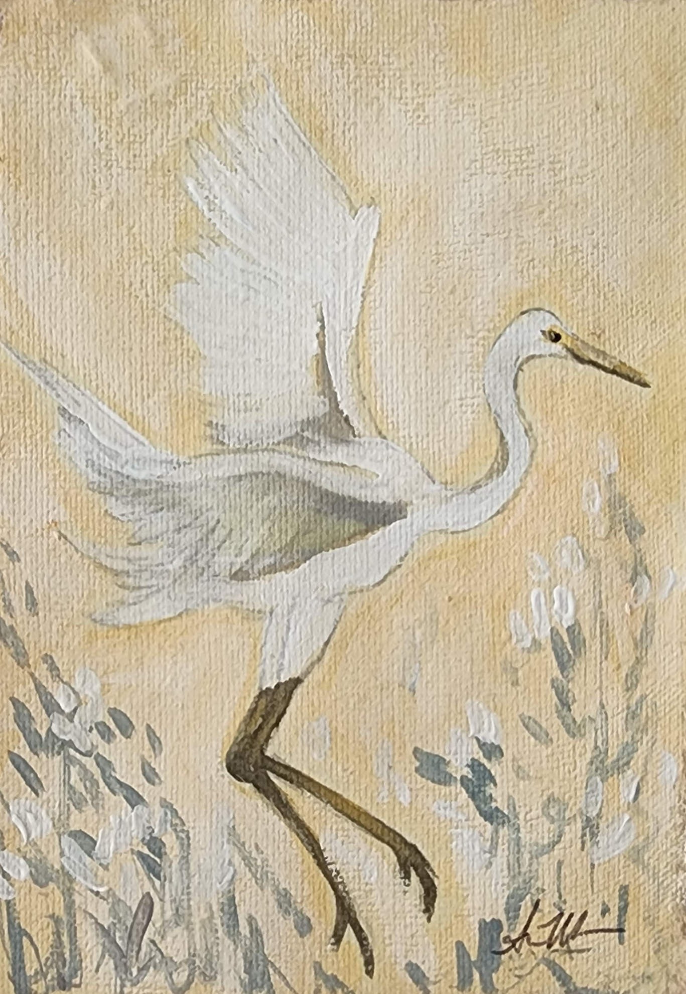 Ginevra White Egret