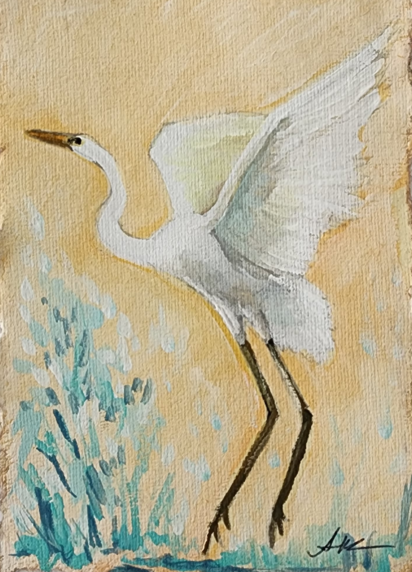 Anna White egret