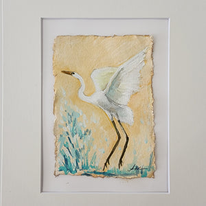 Anna White egret
