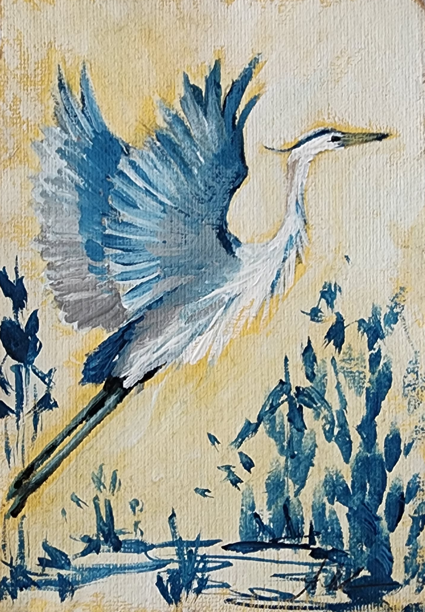Lorenzo Blue Heron