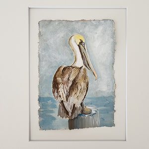 Norbert Pelican