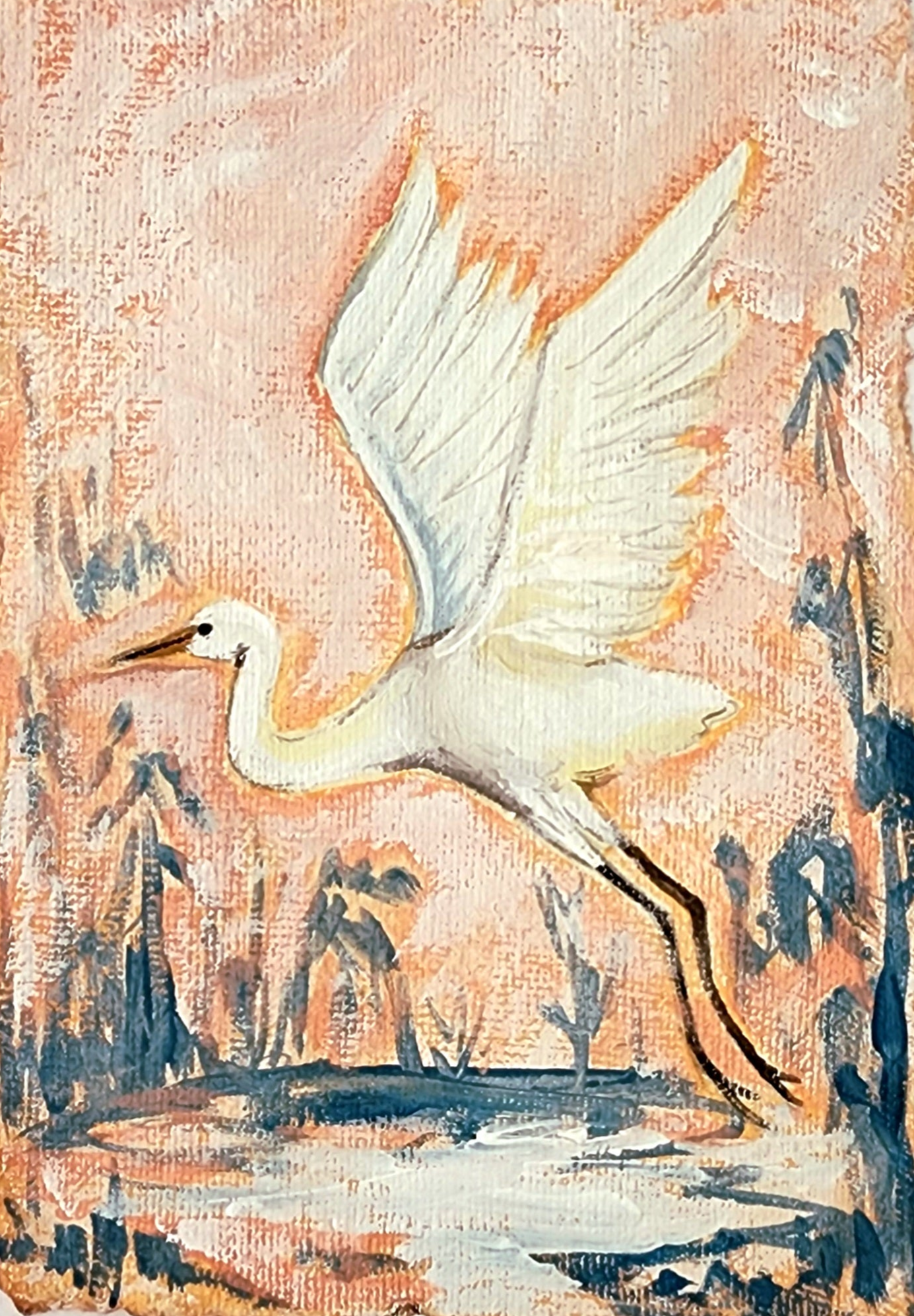 Rosemary Coral Egret