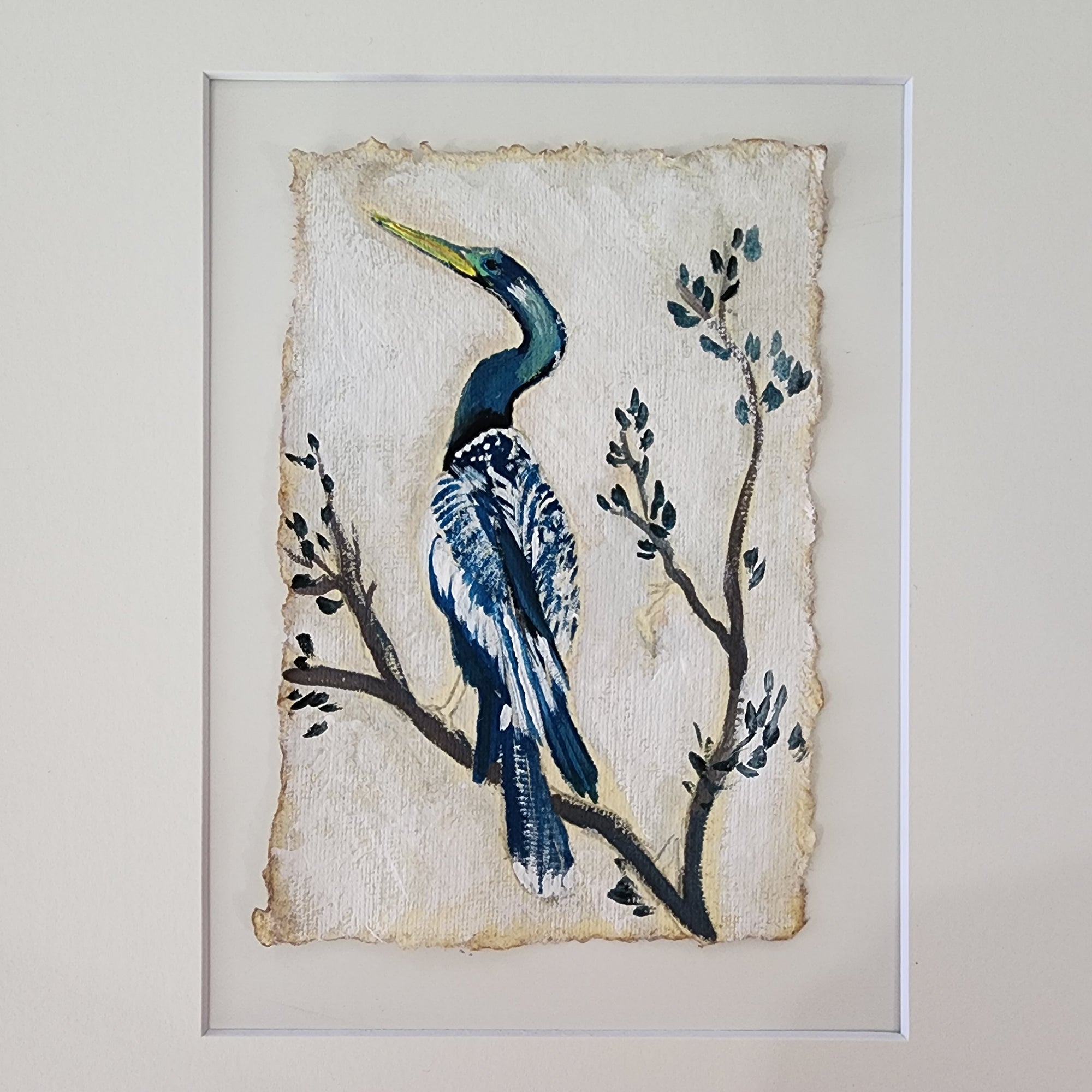 Rebecca Anhinga