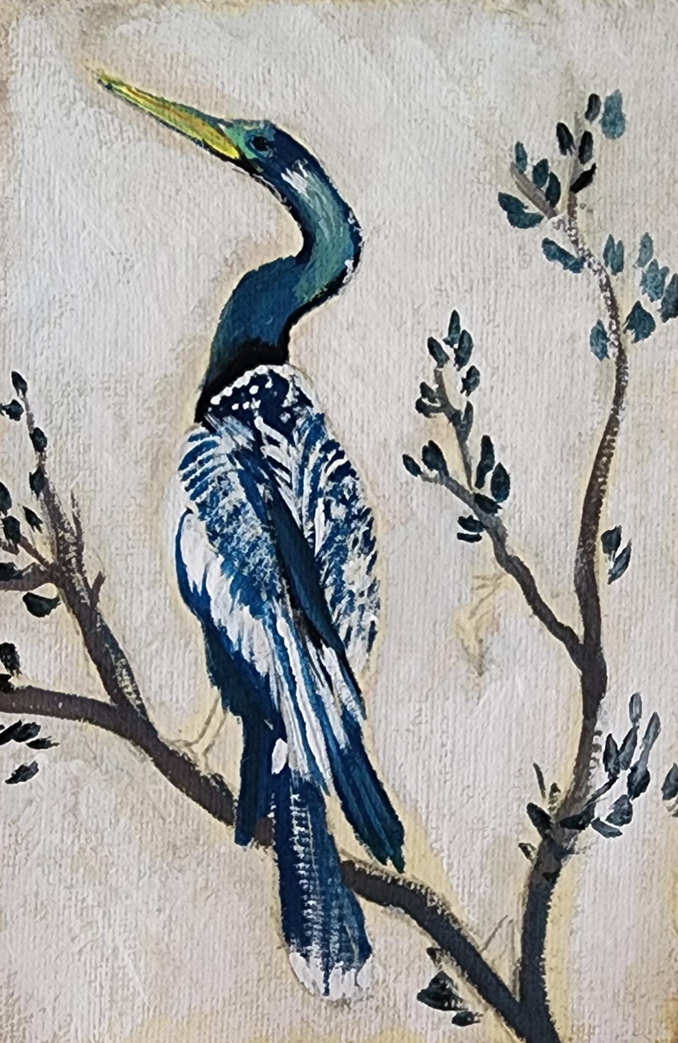 Rebecca Anhinga