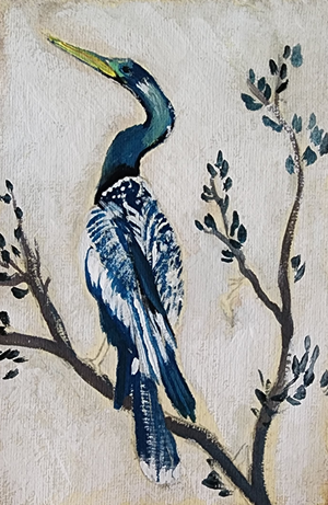 Rebecca Anhinga