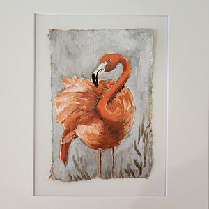 Rosetta  Flamingo