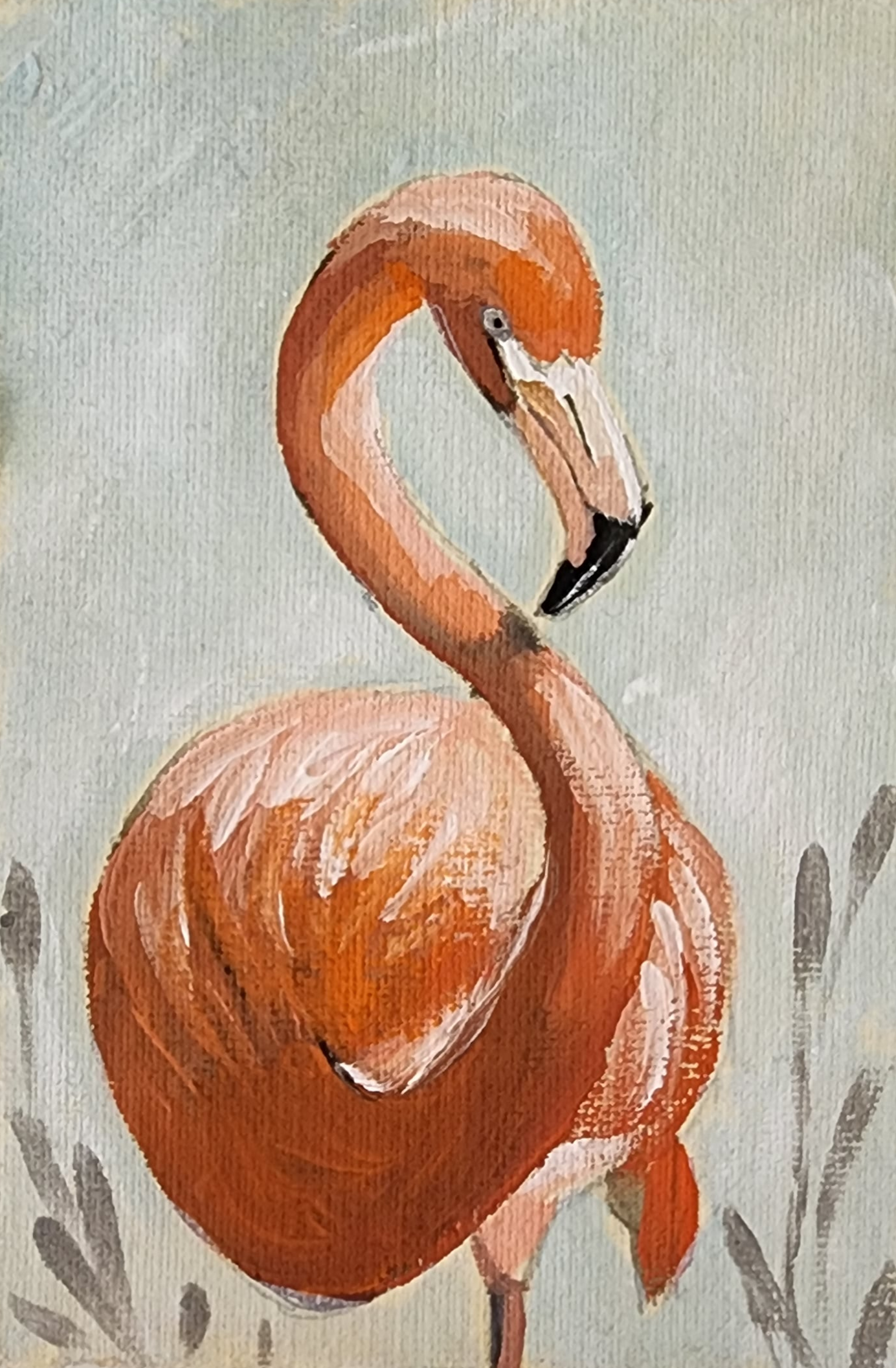 Oscar Flamingo
