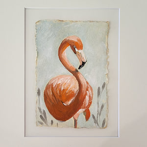 Oscar Flamingo