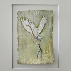 July  Egret
