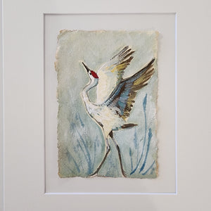 Aroura Sand hill Crane