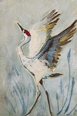 Aroura Sand hill Crane
