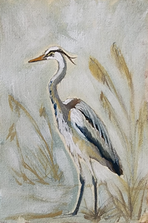 Liam Blue Heron