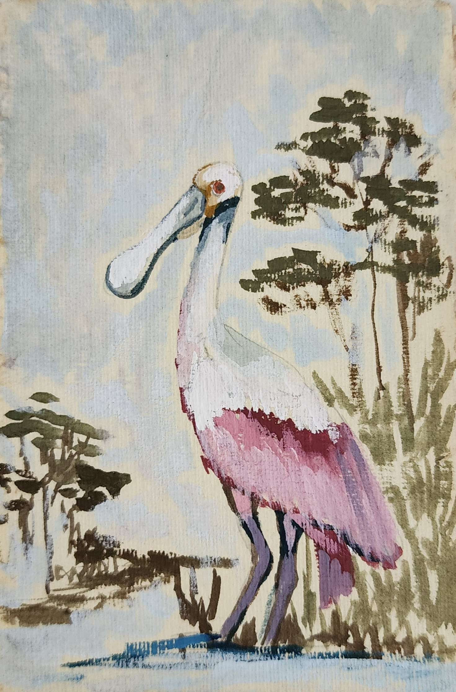 Georgina Roseate Spoonbill