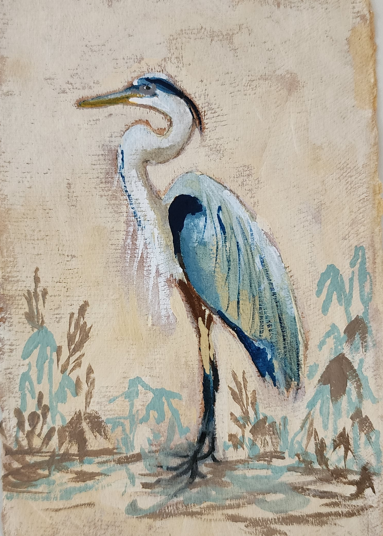 Avianna Blue Heron