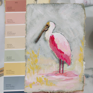 Hazel a Roseate Spoonbill