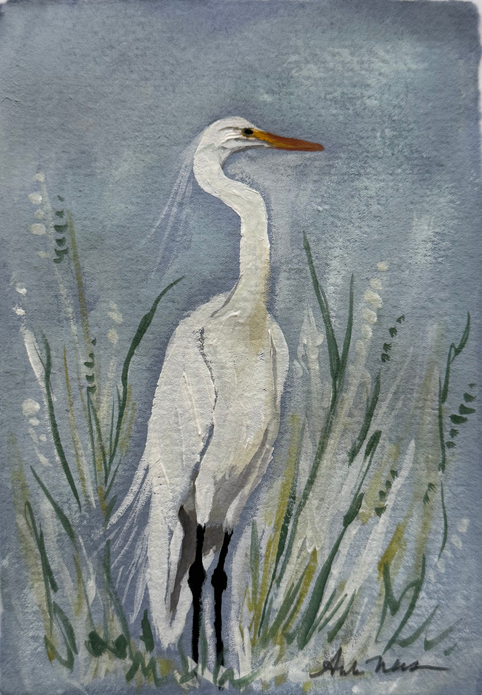 Edwina Claire White Egret