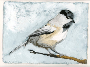Black Chapped Chickadee - Giclee Print