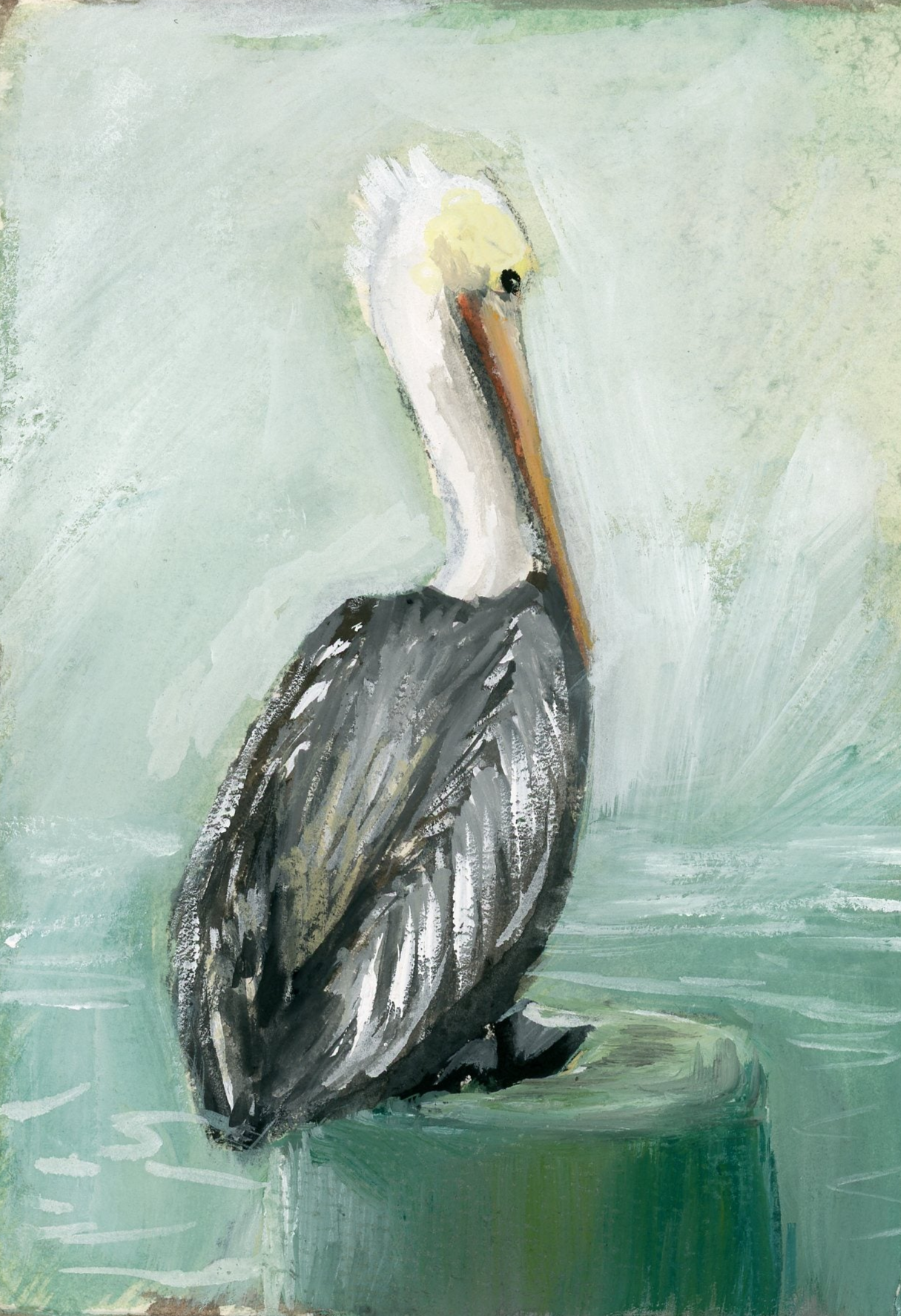 Blake Pelican