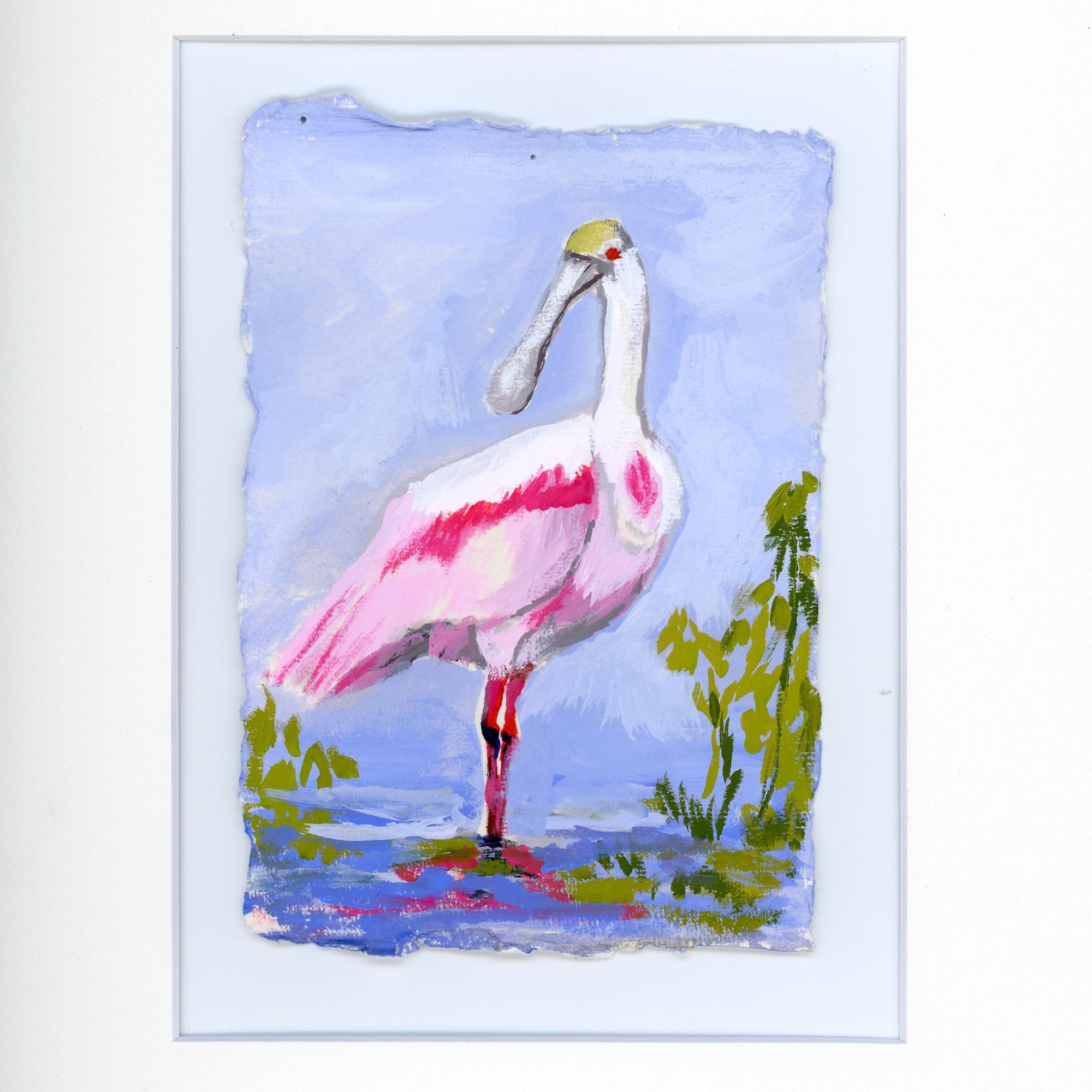 Cassandra a Roseate Spoonbill