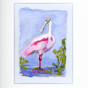 Cassandra a Roseate Spoonbill