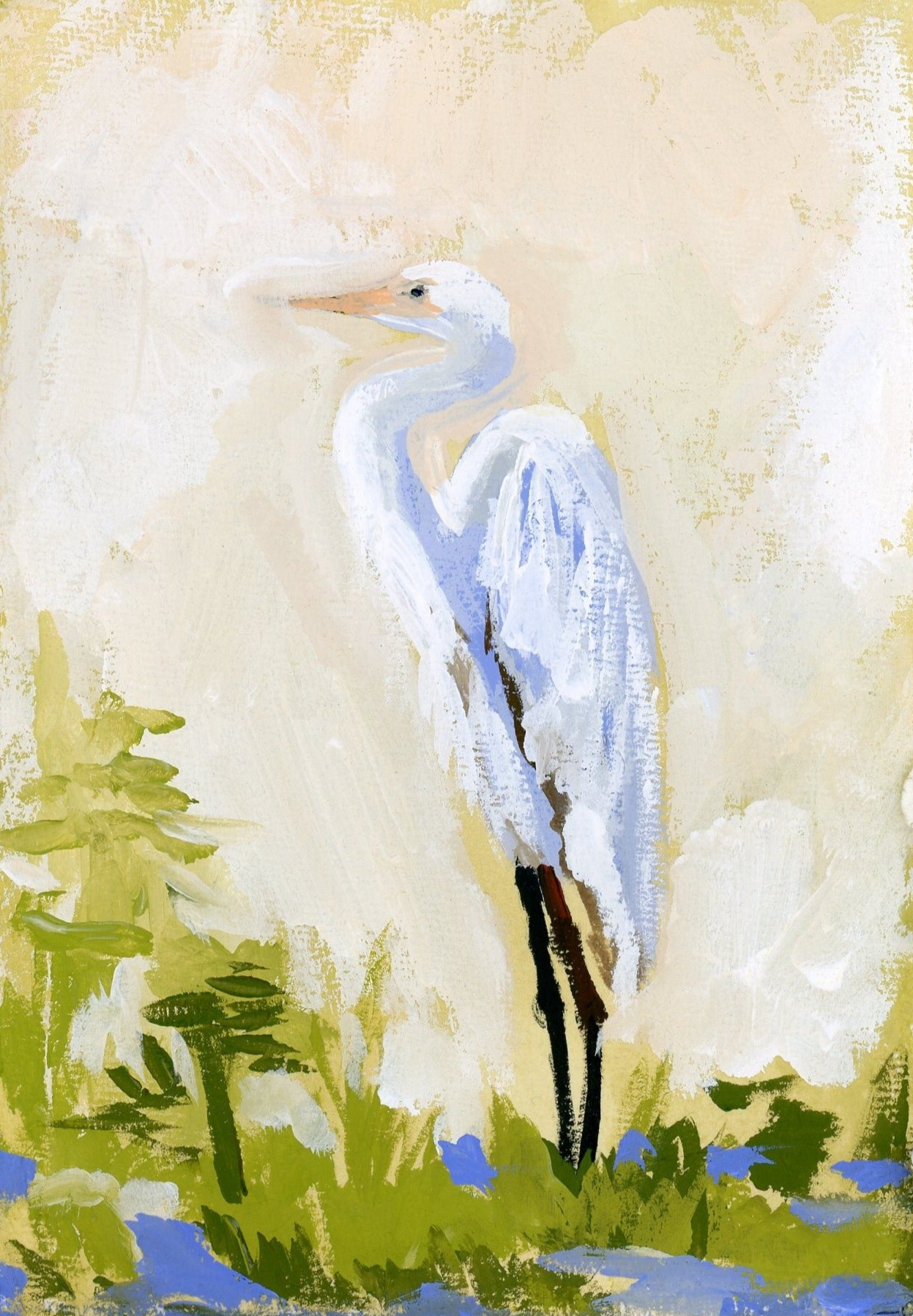 Cece a Great White Egret
