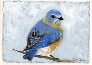 Eastern Bluebird - Giclee Print