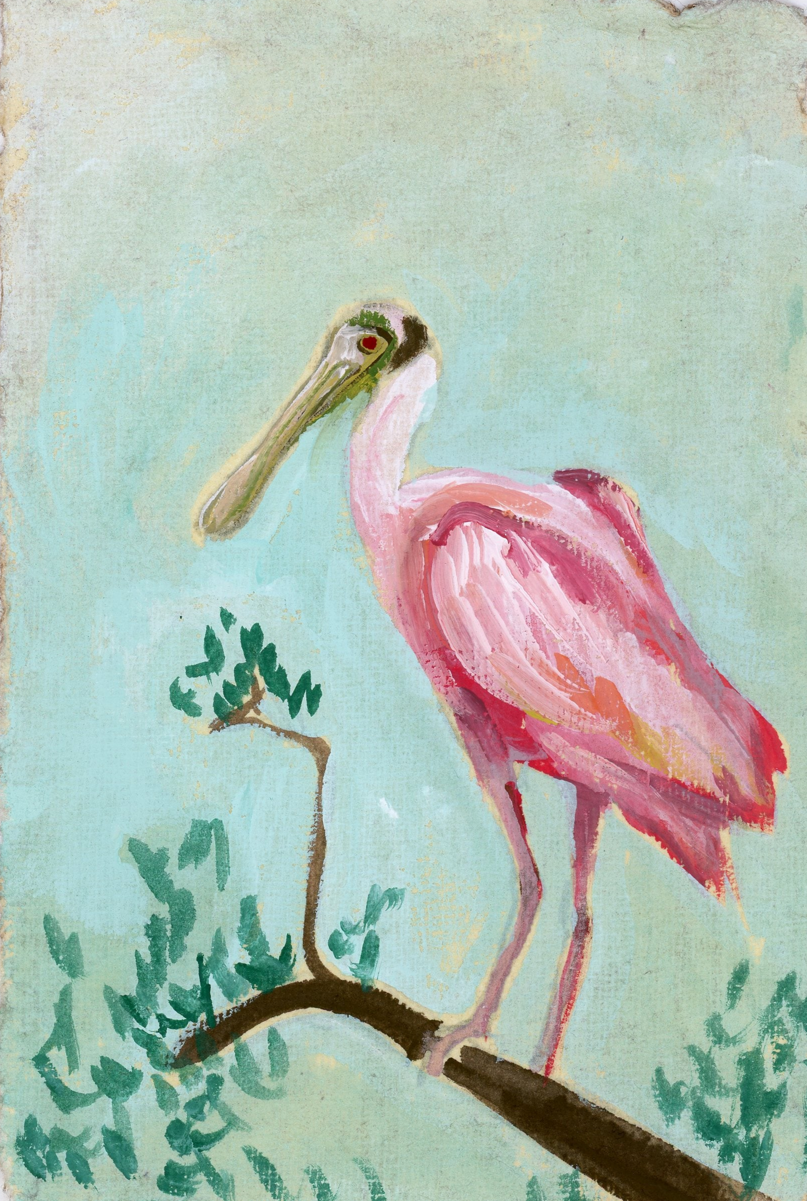 Otis Spoonbill