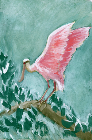 Felix Spoonbill