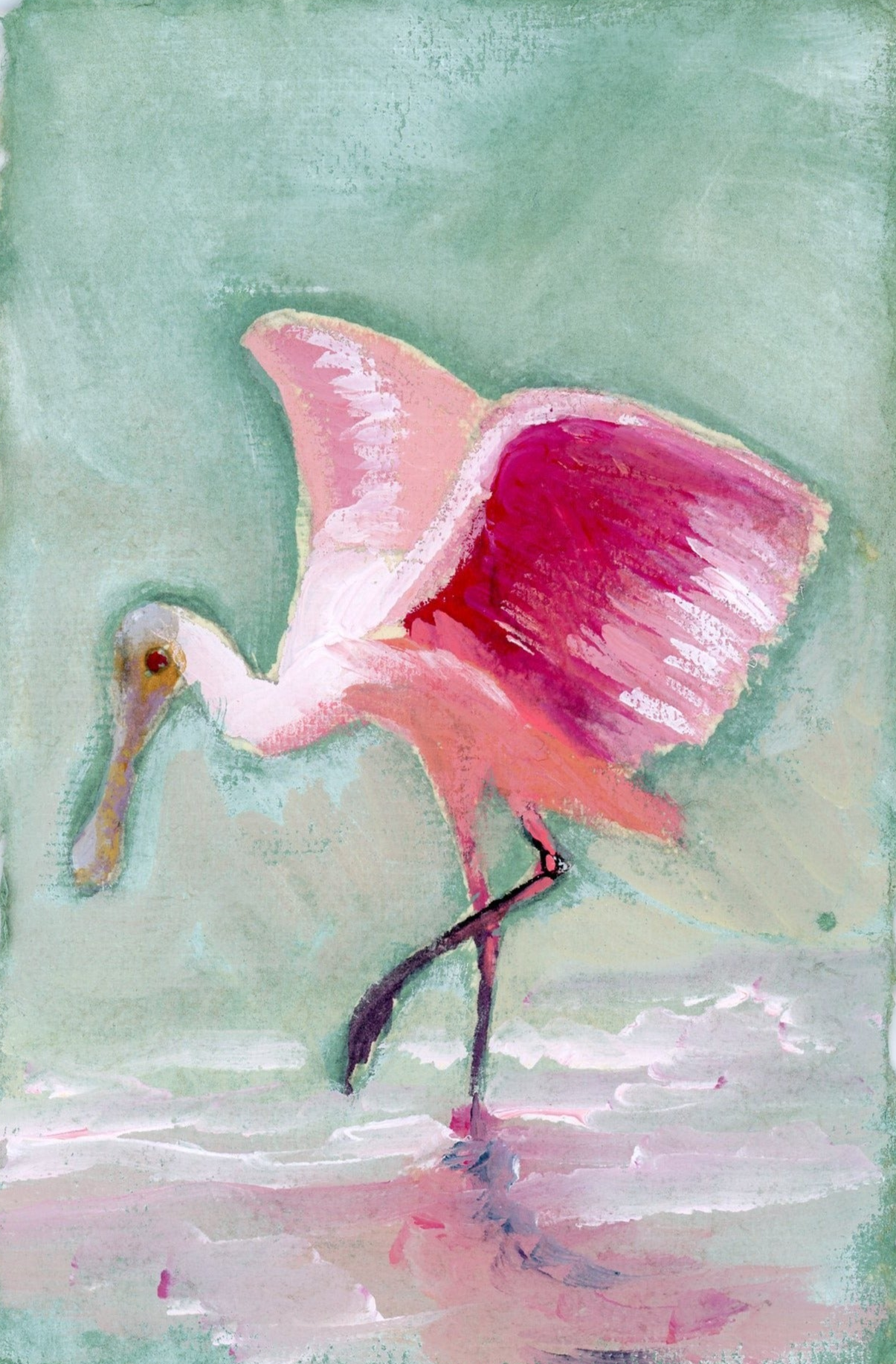 Hattie a Roseate Spoonbill