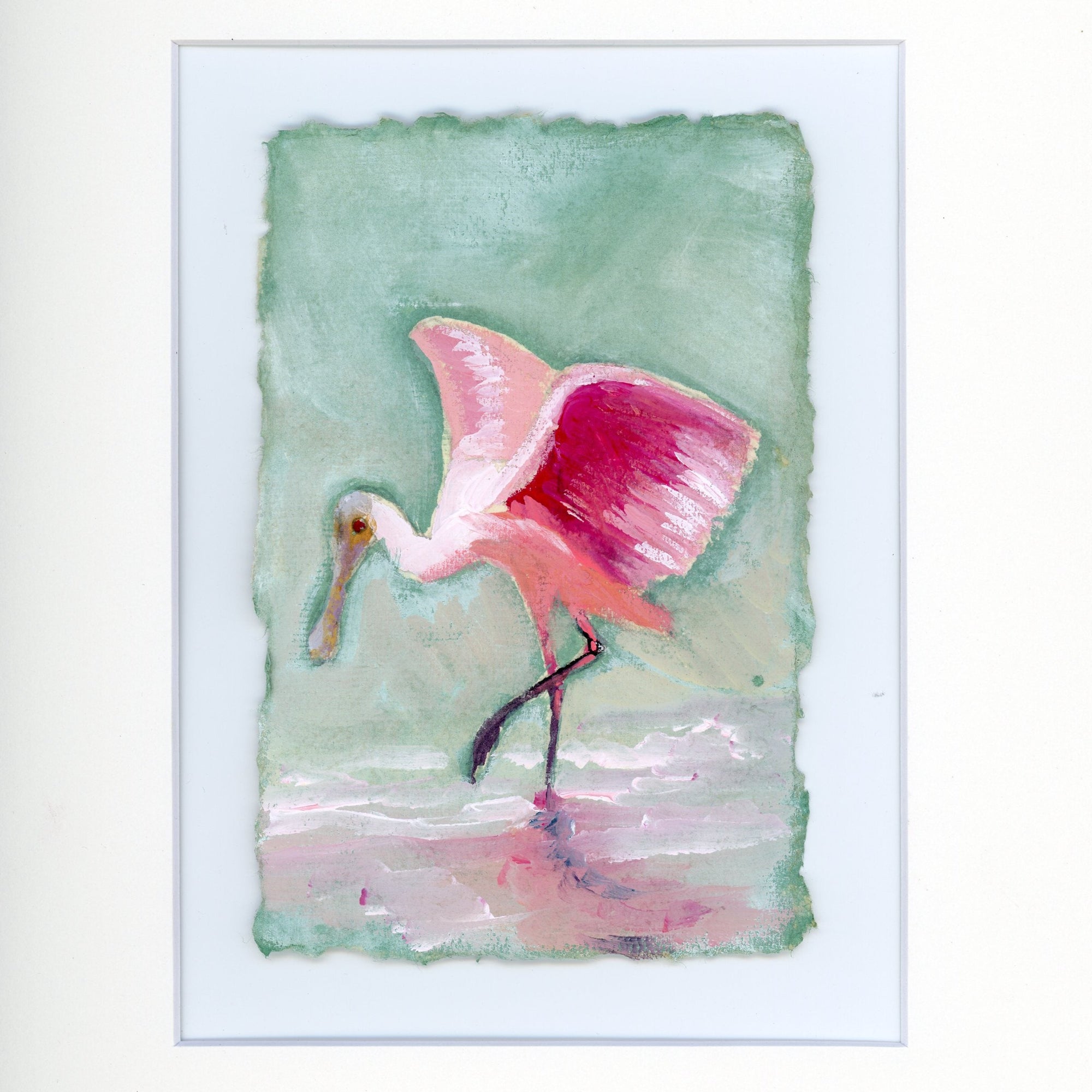 Hattie a Roseate Spoonbill