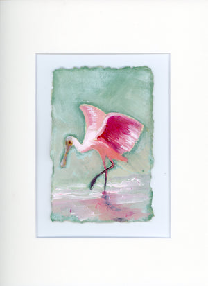 Hattie a Roseate Spoonbill