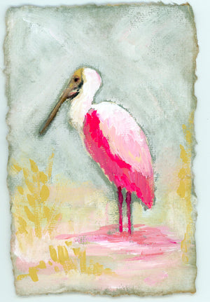 Hazel a Roseate Spoonbill