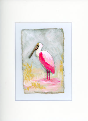 Hazel a Roseate Spoonbill