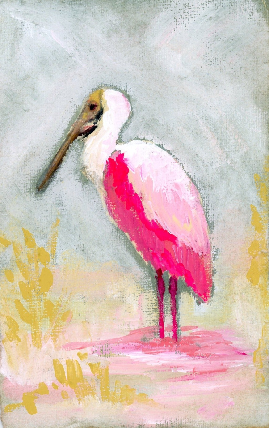 Hazel a Roseate Spoonbill