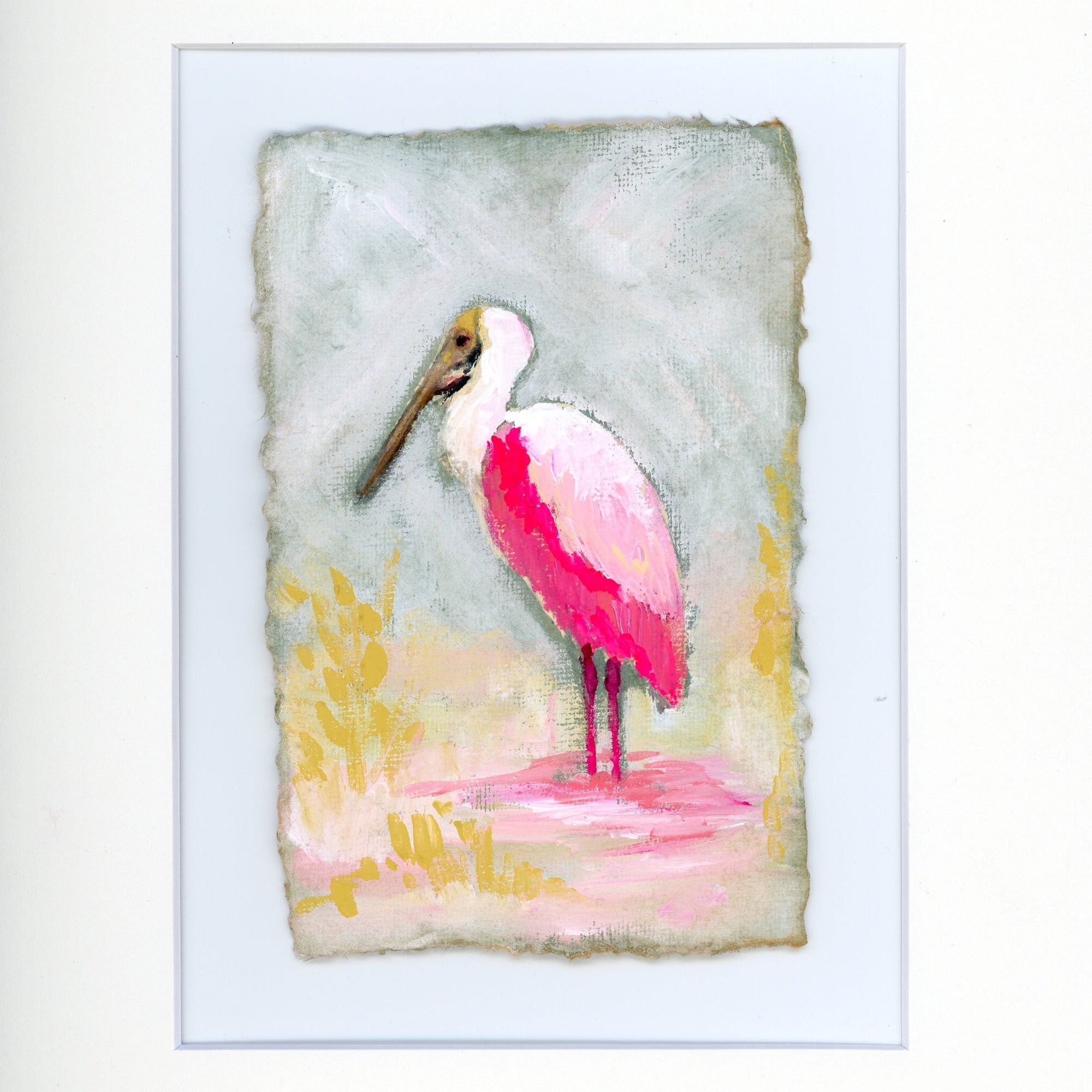 Hazel a Roseate Spoonbill