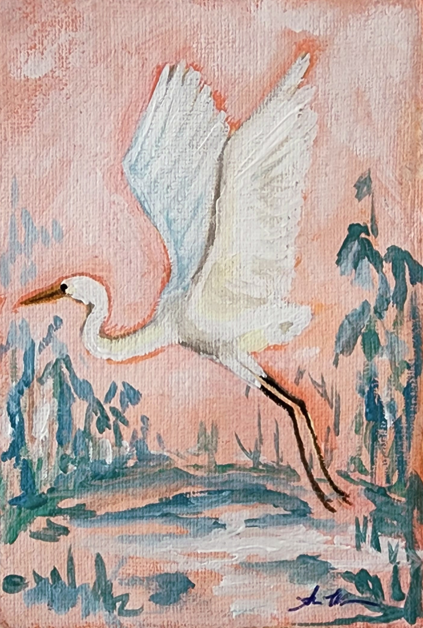 Rosemary white egret