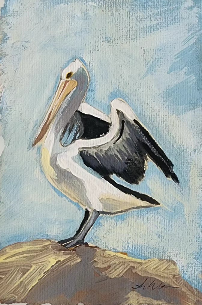 Atlas Pelican