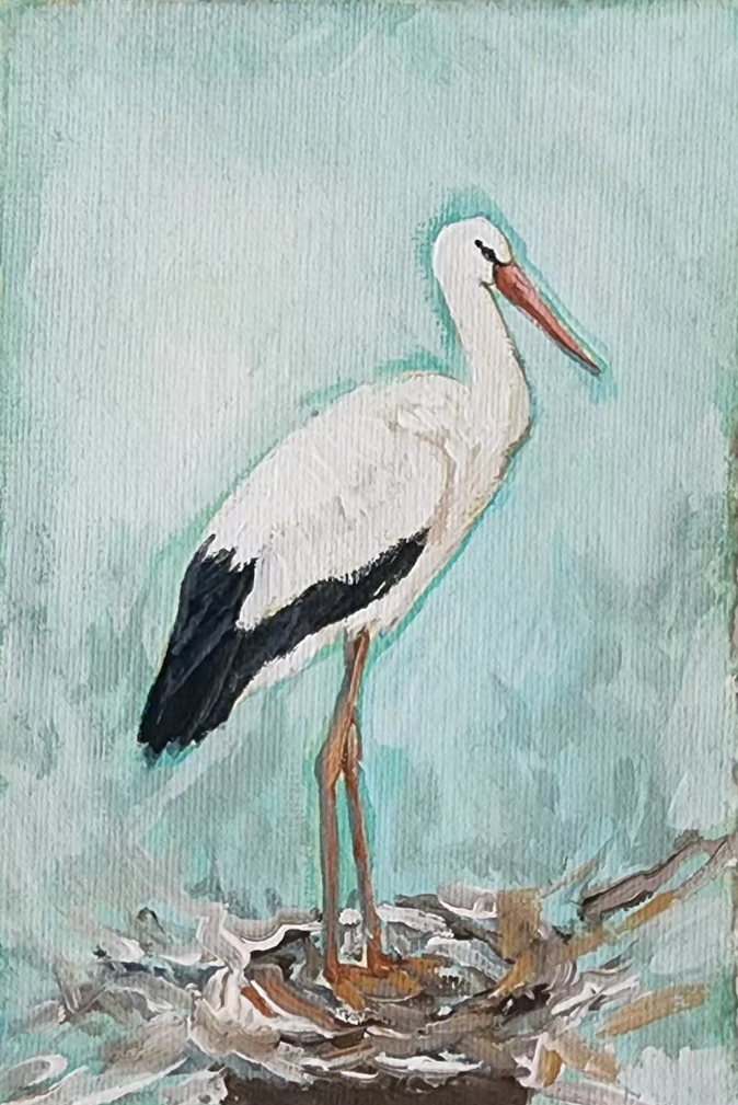 Lily Stork