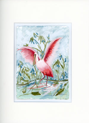 Jamie Roseate Spoonbill