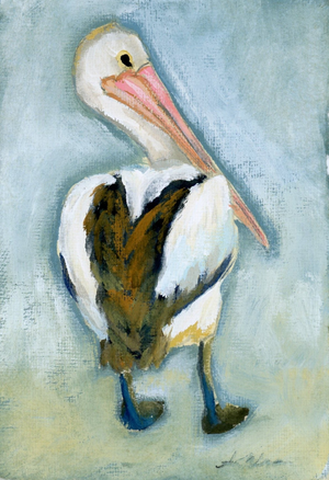 Mabel a Pelican