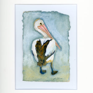 Mabel a Pelican